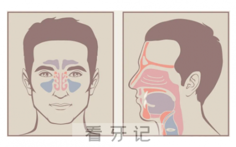 口腔溃疡反复不好可能是癌症