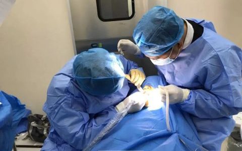 南京栖霞福音口腔春节放假时间安排