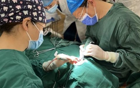 郑州小老虎口腔医院马公平院长看牙记