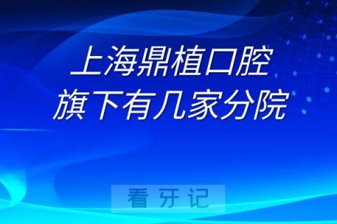 上海鼎植口腔旗下有几家分院