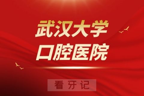 武汉**医院是公立还是私立医院