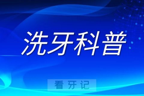 为什么洗牙后牙齿变松动了？