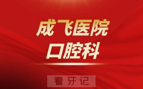 成都成飞**介绍