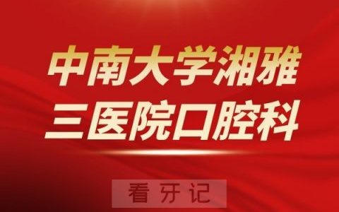 ******三**介绍