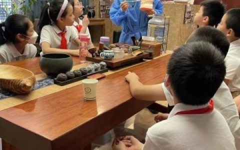 上海盛华齿科开展小牙医职业体验活动