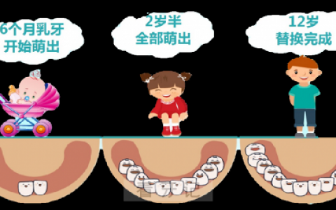 儿童换牙时间顺序图片