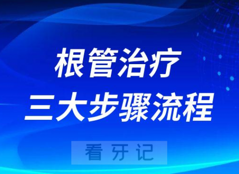 根管治疗三大步骤流程附根管图片