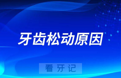 造成牙齿松动的原因到底是什么