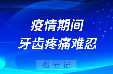 疫情期间牙齿疼痛牙疼难忍三大处理方式