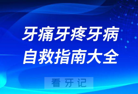 居家隔离期间牙痛牙疼牙病自救指南大全2023版