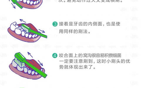 巴氏刷牙法高清图解