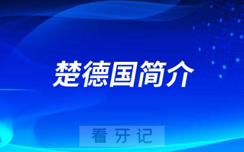 北京市垂杨柳**楚德国简介