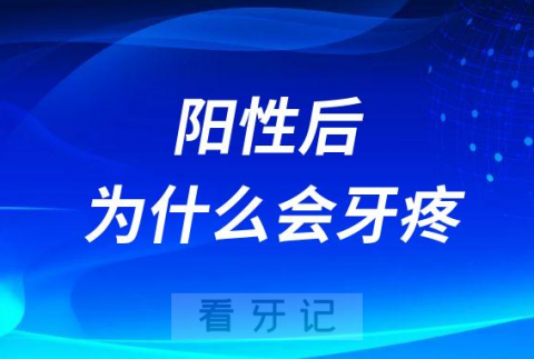 感染新冠阳性后为什么会持续牙疼