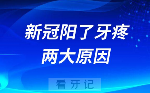 新冠阳了牙疼两大原因