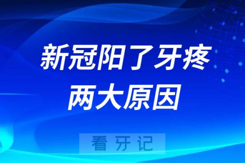 新冠阳了牙疼两大原因