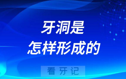 后悔没刷牙牙洞是怎样形成的