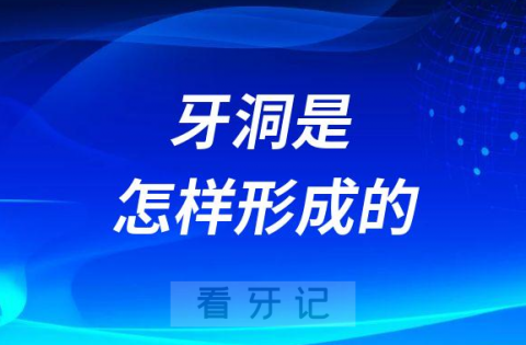 后悔没刷牙牙洞是怎样形成的