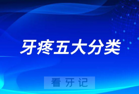 牙痛太可怕了简直要命牙疼五大分类