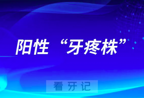 阳性“牙疼株”是怎么回事是不是真的