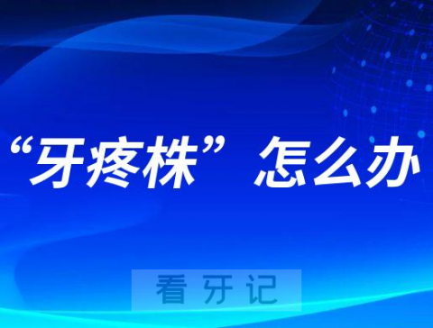 感染新冠期间“牙疼株”牙疼怎么办附五大止疼方法