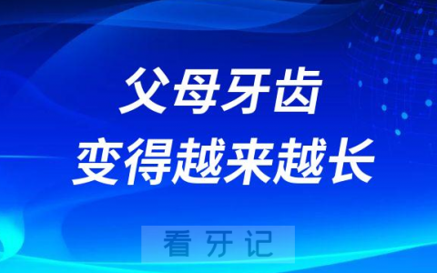 父母老人牙齿变得越来越长是怎么回事