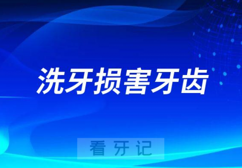 洗牙损害牙齿让牙齿松动变薄是真的假的