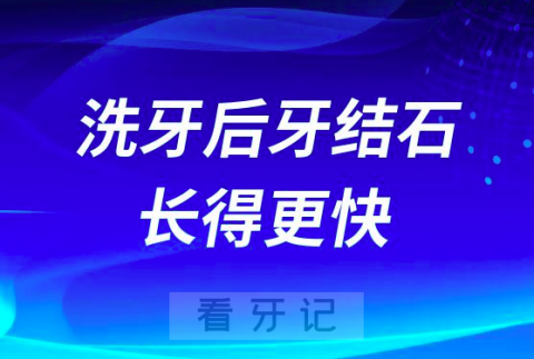 洗牙后牙结石长得更快是真的假的