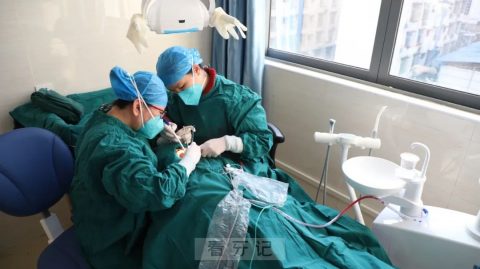 鹿寨县人民医院口腔科成功开展种植牙技术
