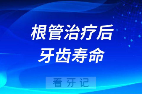 根管治疗后牙齿寿命还能撑几年