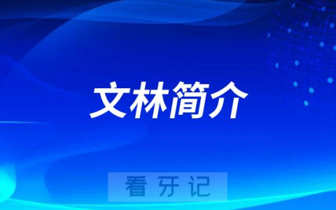 文林重庆牙齿矫正医生
