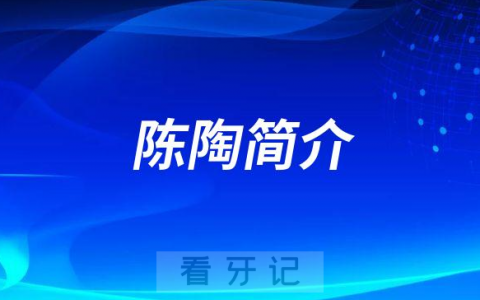 陈陶重庆****