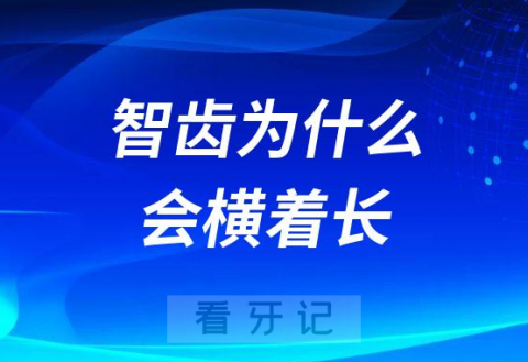 太可怕了智齿为什么会横着长