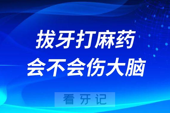 拔牙打麻药究竟会不会损伤大脑