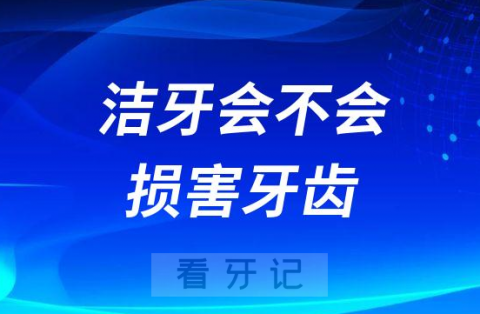 太可怕了千万别洗牙？洁牙会损害牙齿吗？