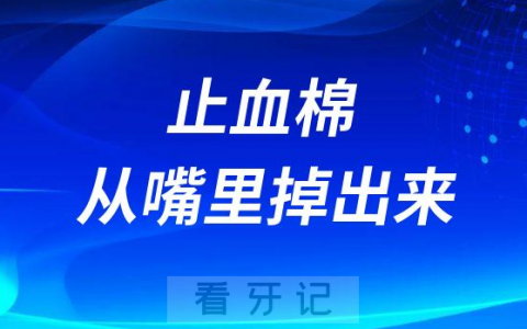 太吓人了拔完智齿牙窝里的止血棉掉出来了怎么办