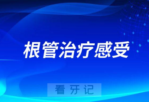 根管治疗个人感受及心得体会