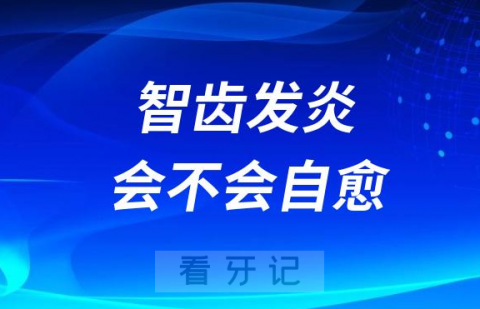 疼死我了智齿发炎会不会自愈