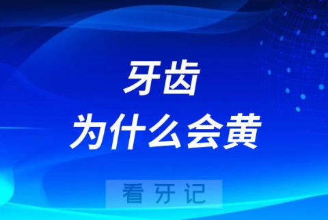 牙齿为什么会黄附四大原因