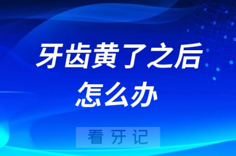 牙齿黄了之后怎么办还能白回来吗