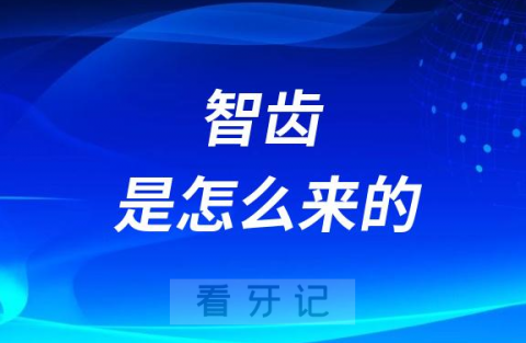 智齿是怎么来的是不是每个人都要长