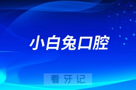 小白兔口腔种植牙多少钱一颗？降价是真的假的？