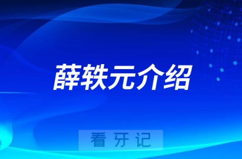 **薛轶元看牙怎么样