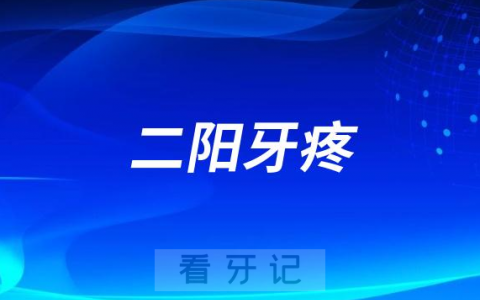 二阳牙疼太难受了怎么办