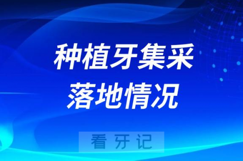 种植牙集采到底有没有真正落地？价格降价了没有