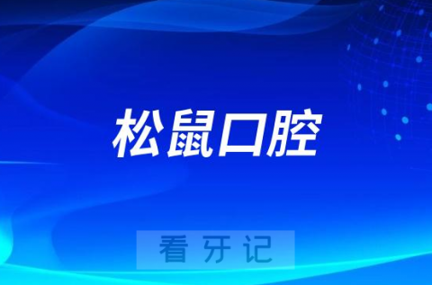 中山松鼠口腔医院是公立还是私立二级口腔