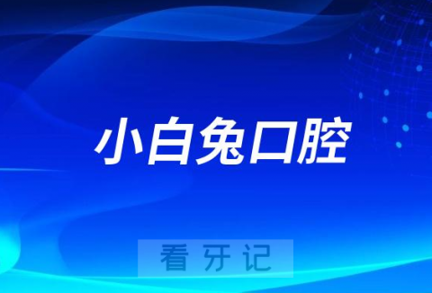 西安小白兔口腔医院分院有多少家附名单地址