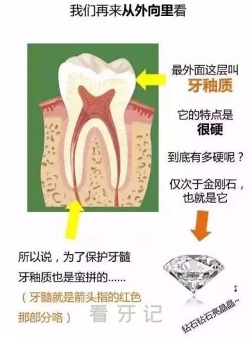 牙为什么会疼十张图告诉你原因