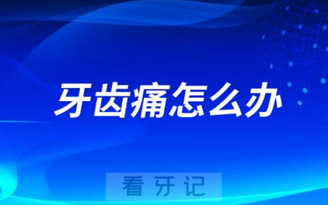 牙齿痛怎么办附三大缓解方法
