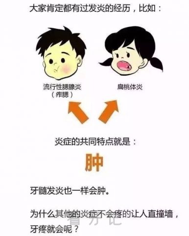 牙为什么会疼十张图告诉你原因