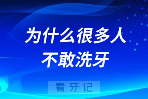 太可怕了为什么很多人不敢洗牙